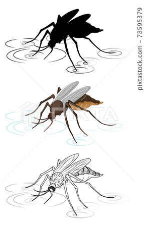 Set of mosquito in silhouette and colour and doodle Set of mosquito in silhouette and colour and doodle 78595379