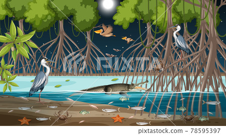 Mangrove forest landscape scene at night with many different animals 78595397
