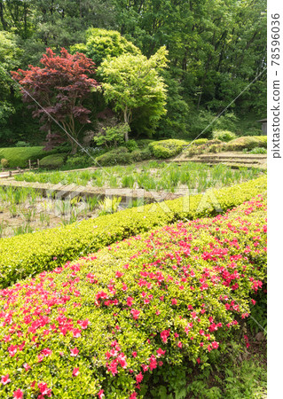 Yakushoike公園 78596036