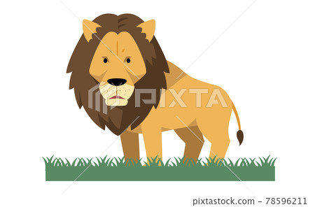 Illustration material of lion and grass 78596211