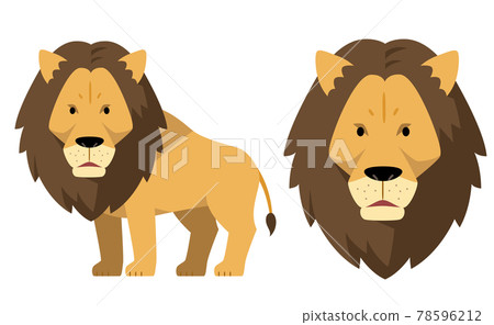 Lion and lion face illustration material Lion and lion face illustration material 78596212