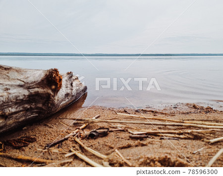 Scenic view of a lake in a forest with calm water on a cloudy day. 78596300