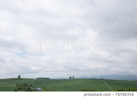 Parent and child tree　 78596358