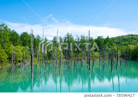 Shirogane blue pond 78596427