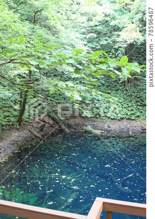 Ruri-colored pond in the forest, Juniko, Aoike 78596487