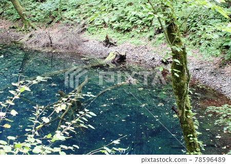 Ruri-colored pond in the forest, Juniko, Aoike 78596489
