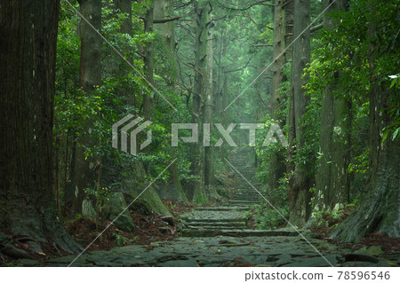 Wakayama Prefecture Daimonzaka Fresh Green 78596546