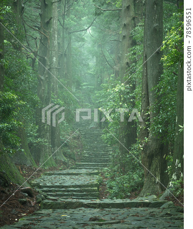 Wakayama Prefecture Daimonzaka Fresh Green Wakayama Prefecture Daimonzaka Fresh Green 78596551