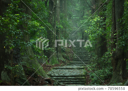 和歌山縣大門坂鮮綠 78596558