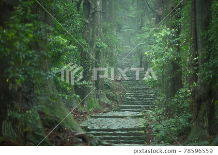 Wakayama Prefecture Daimonzaka Fresh Green Wakayama Prefecture Daimonzaka Fresh Green 78596559