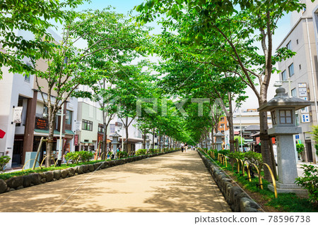 初夏鎌倉 若宮王子彈丸 78596738