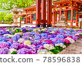 花水 78596838