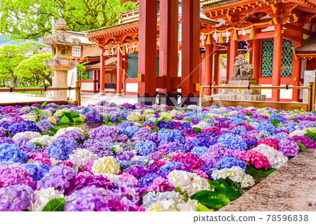 花水 花水 78596838