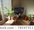 Interior of living alone 78597351