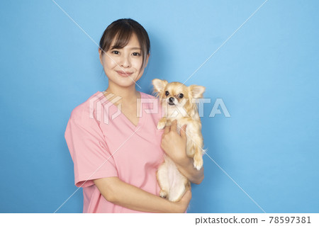 Female veterinarian holding a dog 78597381
