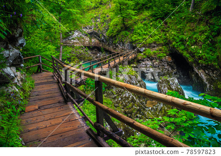 Stunning Vintgar gorge and Radovna river in the forest, Slovenia Stunning Vintgar gorge and Radovna river in the forest, Slovenia 78597823