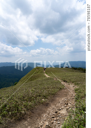 從石雨山口到龍岳岳的山頂山脊線一側的笹原和山路 78598187