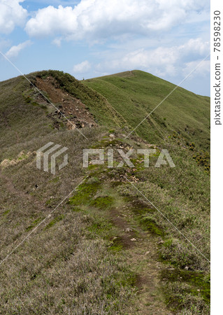 從石雨山口到龍岳岳的山頂山脊線一側的笹原和山路 從石雨山口到龍岳岳的山頂山脊線一側的笹原和山路 78598230