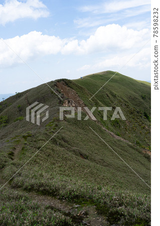 從石雨山口到龍岳岳的山頂山脊線一側的笹原和山路 從石雨山口到龍岳岳的山頂山脊線一側的笹原和山路 78598232