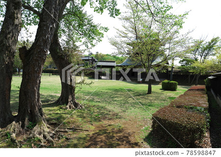 坂西城遺址 坂西城遺址 78598847
