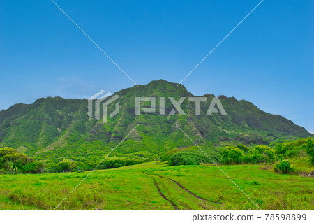 Hawaii Oahu Kualoa Ranch Hawaii Oahu Kualoa Ranch 78598899