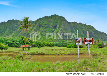 Hawaii Oahu Kualoa Ranch Hawaii Oahu Kualoa Ranch 78598901