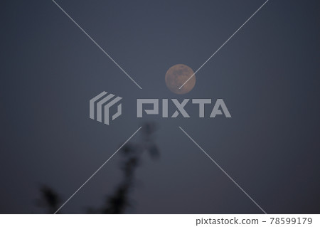 Moon on evening sky 78599179