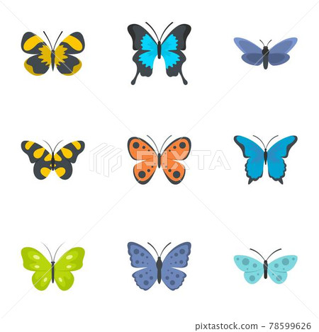 Moth icons set, flat style 78599626