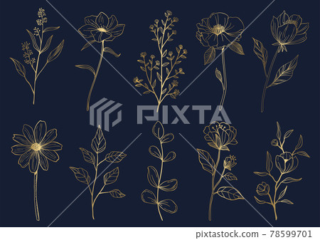 Gold flower and plant illustration material set Gold flower and plant illustration material set 78599701