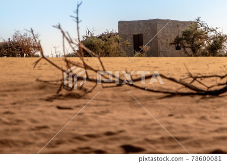 Clay hut in the Sahara desert in Sudan with a parched branch on the dry sand in the foreground, Africa Clay hut in the Sahara desert in Sudan with a parched branch on the dry sand in the foreground, Africa 78600081