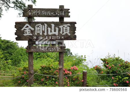 貢戈山(首腦會議上的簽名) 貢戈山(首腦會議上的簽名) 78600568