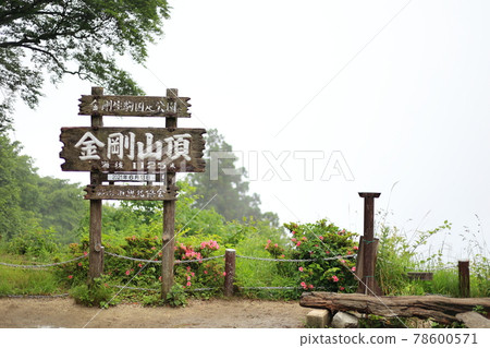 貢戈山(首腦會議上的簽名) 貢戈山(首腦會議上的簽名) 78600571