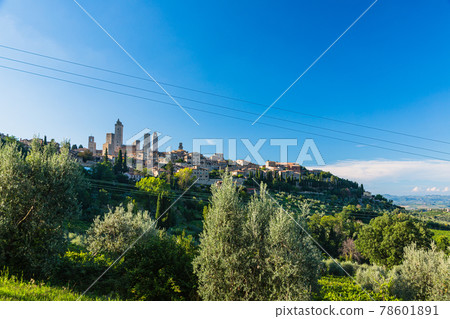 Italy: View of San Gimignano with its towers on the hill Italy: View of San Gimignano with its towers on the hill 78601891