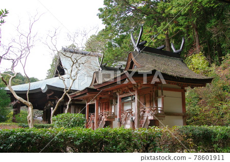 Enjoji Chinjusha Kasugado / Hakusando (Nara City) 78601911