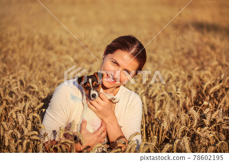 Young brunette woman holding Jack Russell terrier puppy on her hands, smiling, sunset lit wheat field behind her. 78602195