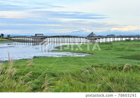 青森壯觀的木製三鼓橋“鶴之舞橋” 78603291