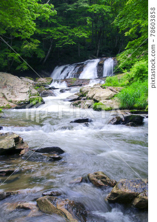 額留多瀑布(福島縣麻川村) 額留多瀑布(福島縣麻川村) 78603858