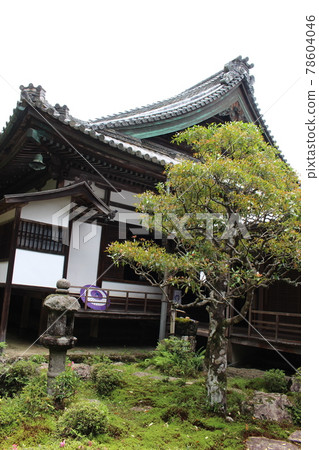 Yanagidani Kannon, Yanagidani Temple, Kyoto Prefecture, Nagaokakyo City, Hydrangea Week, Nagaoka Tenjin Station, Nagaokakyo Station Yanagidani Kannon, Yanagidani Temple, Kyoto Prefecture, Nagaokakyo City, Hydrangea Week, Nagaoka Tenjin Station, Nagaokakyo Station 78604046
