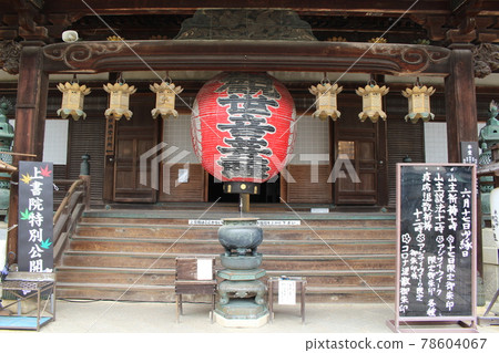 柳谷觀音、京都府柳谷寺、長岡京市、繡球週、長岡天神站、長岡京站 柳谷觀音、京都府柳谷寺、長岡京市、繡球週、長岡天神站、長岡京站 78604067