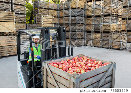 Forklift carries crates of fruit, driver work, ripe, red, fresh, tasty apples in container Forklift carries crates of fruit, driver work, ripe, red, fresh, tasty apples in container 78605339