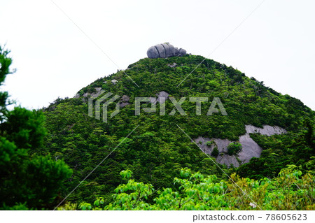 Tofu rock of Kobandake seen from the mountain trail of Yakushima 78605623