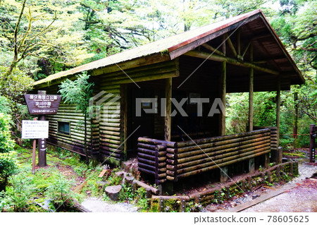 Yakushima Yodogawa hut 78605625