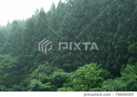 山上開始下雨 78606005