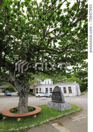 Okinawa Ogimi Former Ogimi Village Office Building Okinawa Ogimi Former Ogimi Village Office Building 78607993
