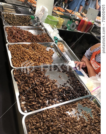 Insect food Insect food 78608405