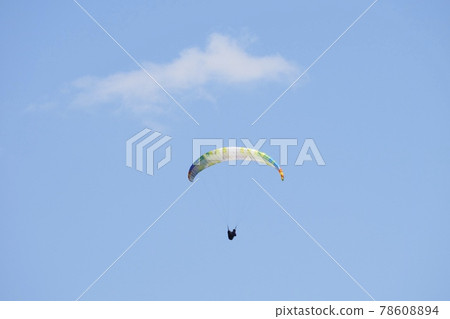 Paraglider [Tainai Ski Resort, Tainai City, Niigata Prefecture] 78608894