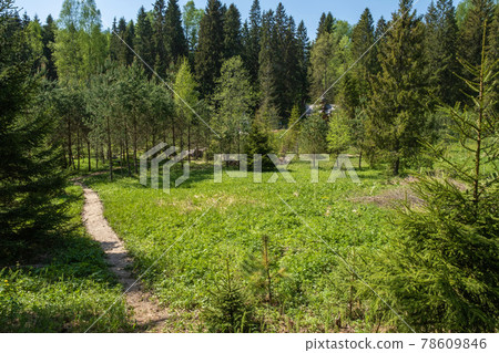 At the holy spring of St. Irinarch the Recluse in the Borisoglebsky district of the Yaroslavl region on a summer day. 78609846