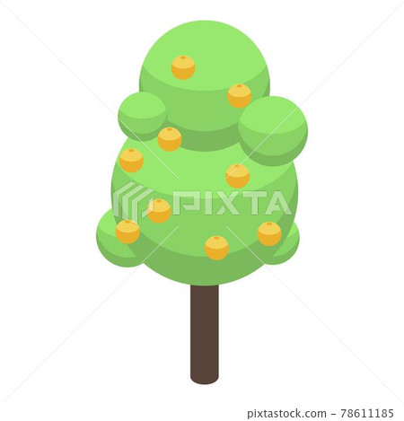 Apricot tree icon, isometric style Apricot tree icon, isometric style 78611185