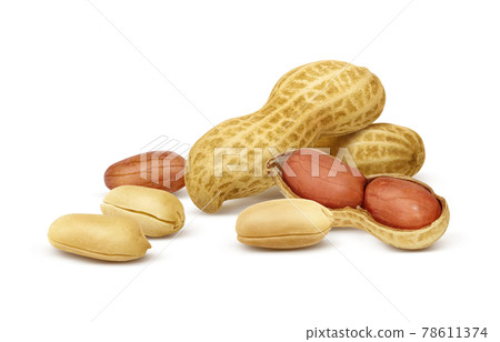 Peanut peanut illustration real set 78611374