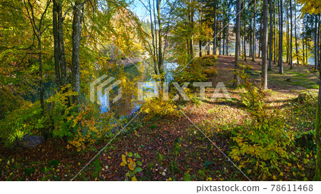 Forest meadow on shore of picturesque lake. Vilshany water reservoir on the Tereblya river, Transcarpathia, Ukraine. Beautiful autumn day in Carpathian Mountains. 78611468